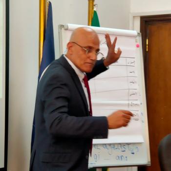 الاستاذ الدكتور عاطف محمد سعيد